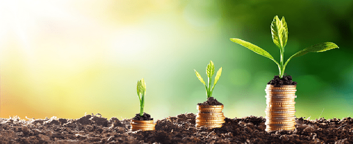 blog rentable